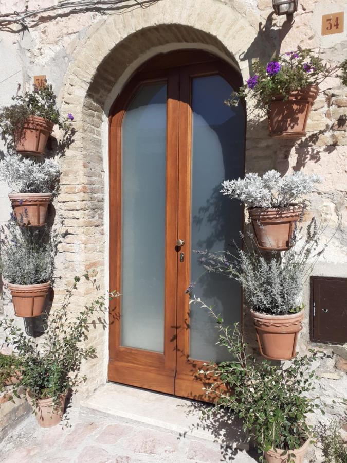B&B San Francesco Assisi Bagian luar foto